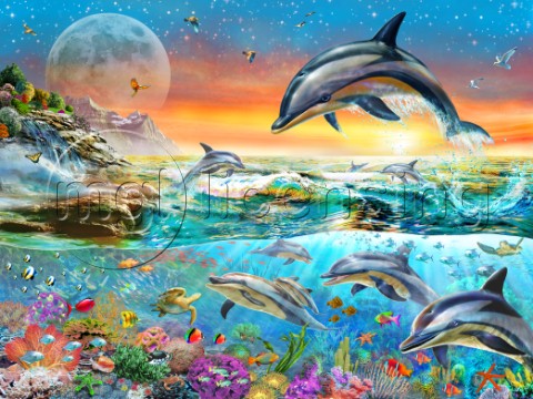 Tropical Evening Dolphins