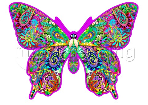 Paisley Butterfly