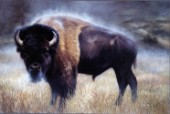 Buffalo (NPI 425)