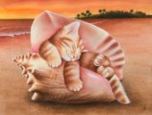Conch Kitten