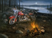Harley Campfire (NPI 35025)