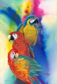 Parrot Jungle (NPI 30003)
