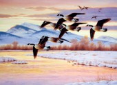 Sunrise geese in flight (NPI 0142)