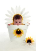 Sunflower Baby Pot.jpg