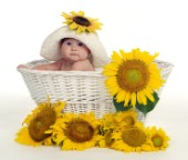 Sunflower Baby Hat.jpg