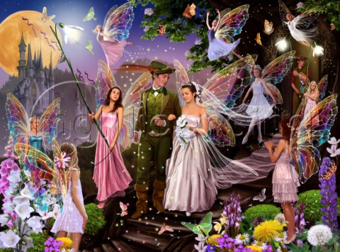 Fairy wedding