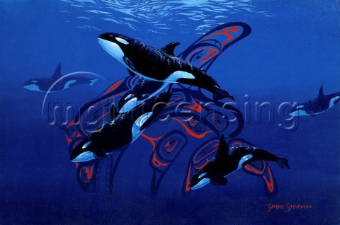 Blue orcas