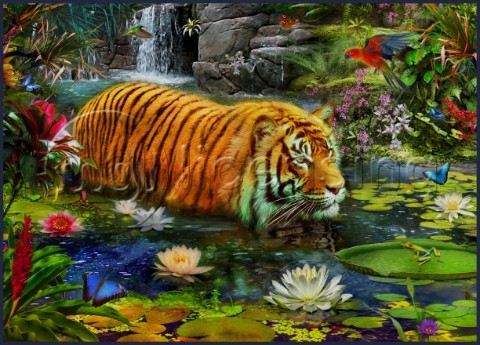 Tigers in Water