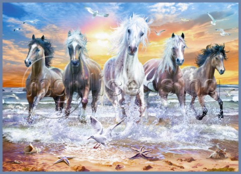 Horses on The Beach