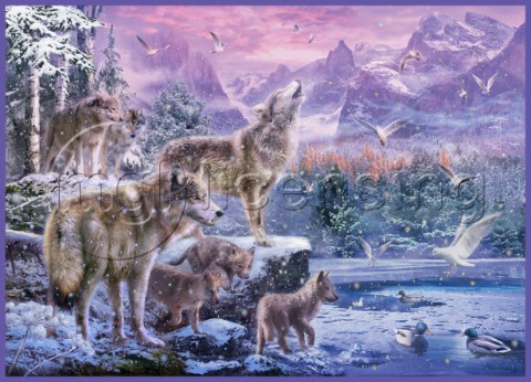 Wolves on Winter Mountains