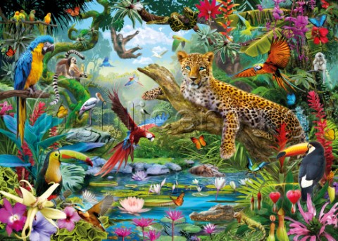 Leopard In Jungle