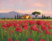 Tuscan evening poppies