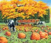 Harvest wagon - cows and pumpkins