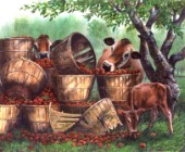 Raiding the apple crop