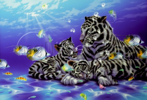 Mother Ocean  white tiger
