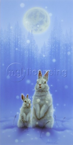 Snow White  rabbit