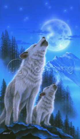 Teachings  wolf