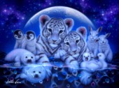 White Tiger Cubs, Bunnies, Baby Seals, Penguins-Chicks-Shining Lives