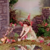 Fairy planting