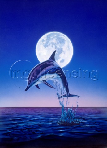 Moonlight dolphin