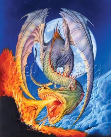 Fire moon dragon