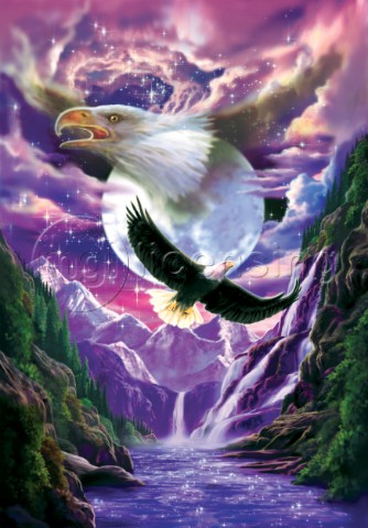 Eagle spirit
