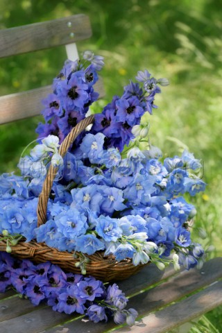 Blue Basket Bouquet F505