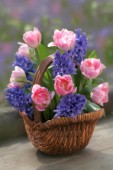 Basket of Hyacinths and Tulips