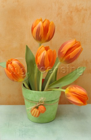 Orange Tulip Pot