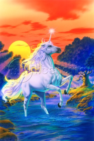 Unicorn sunset
