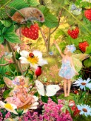 Summer fairies