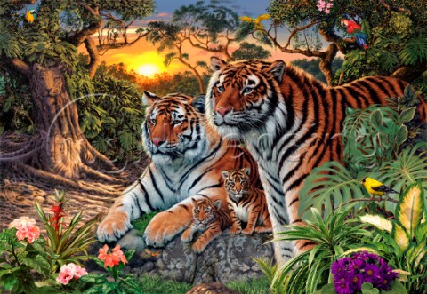 Hidden Images  Tigers