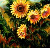 Sunflower sunshine