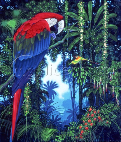 Parrot in paradise