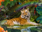 Enchanted Tigress
