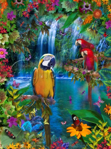 Bird Tropical Land