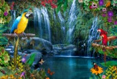 Parrot Tropics