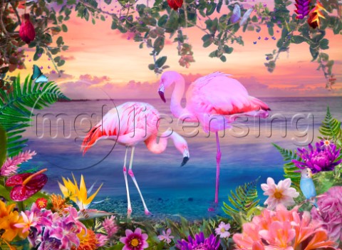 Moon Dream Sunrise Flamingo
