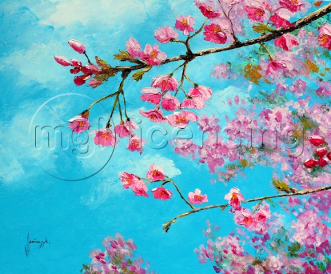 Cherry blossom Bluejpg
