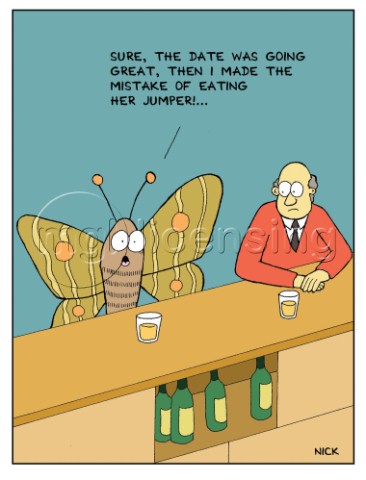 Moth in Bar