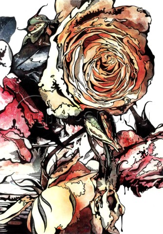 Roses graphic abstract image