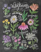 Wildflowers Chalk