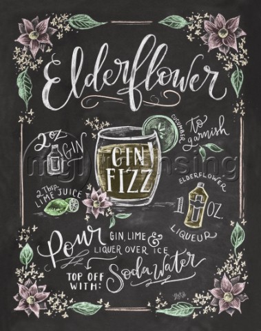 Elderflower Gin Fizz