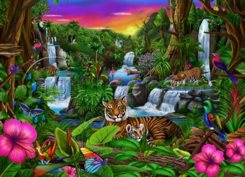 Tigers Tropical Paradise