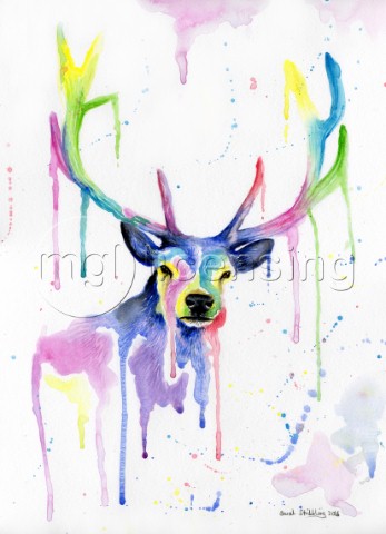 Red deer stag in multicolour in watercolours