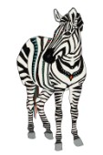 zebra love transparent