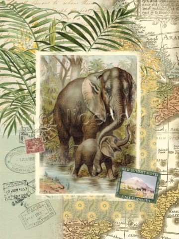 African Elephant Montage TH1003701