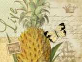 Vintage Pineapple 2 TH-12-026-02