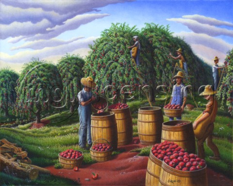 Apple Harvest Garmers Pickingjpg