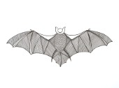 Animals-Bat.jpg